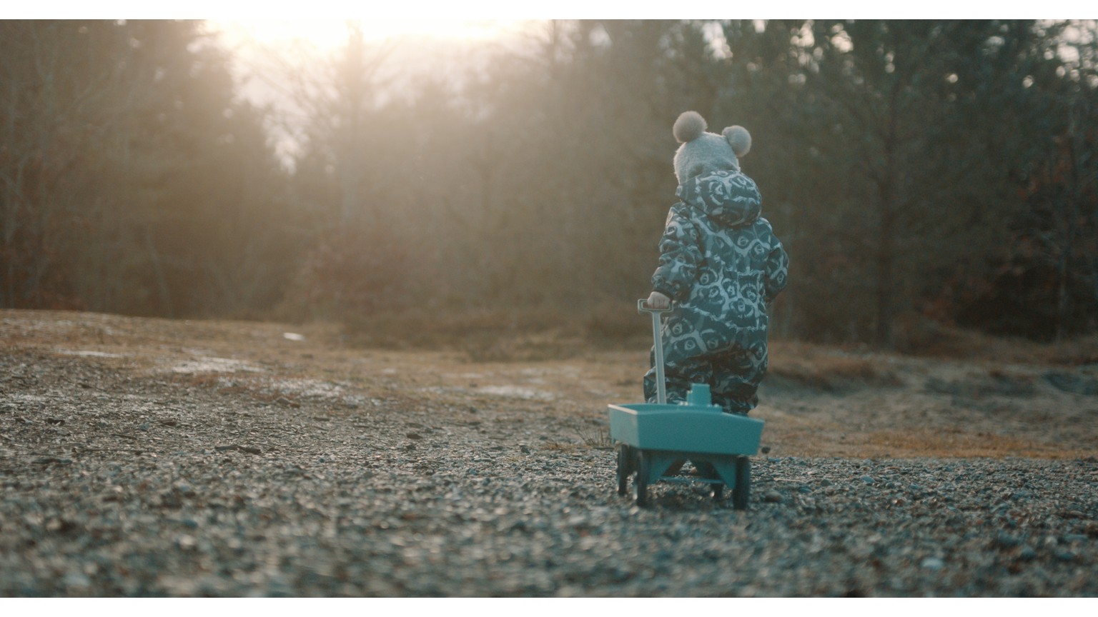 Bmt Pull Cart, L: 54 Cm