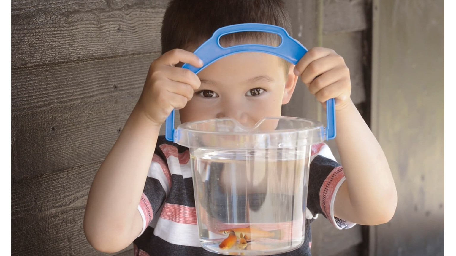 Barn med blå kasket kigger gennem klar plastbeholder med guldfisk i vand mod grå væg